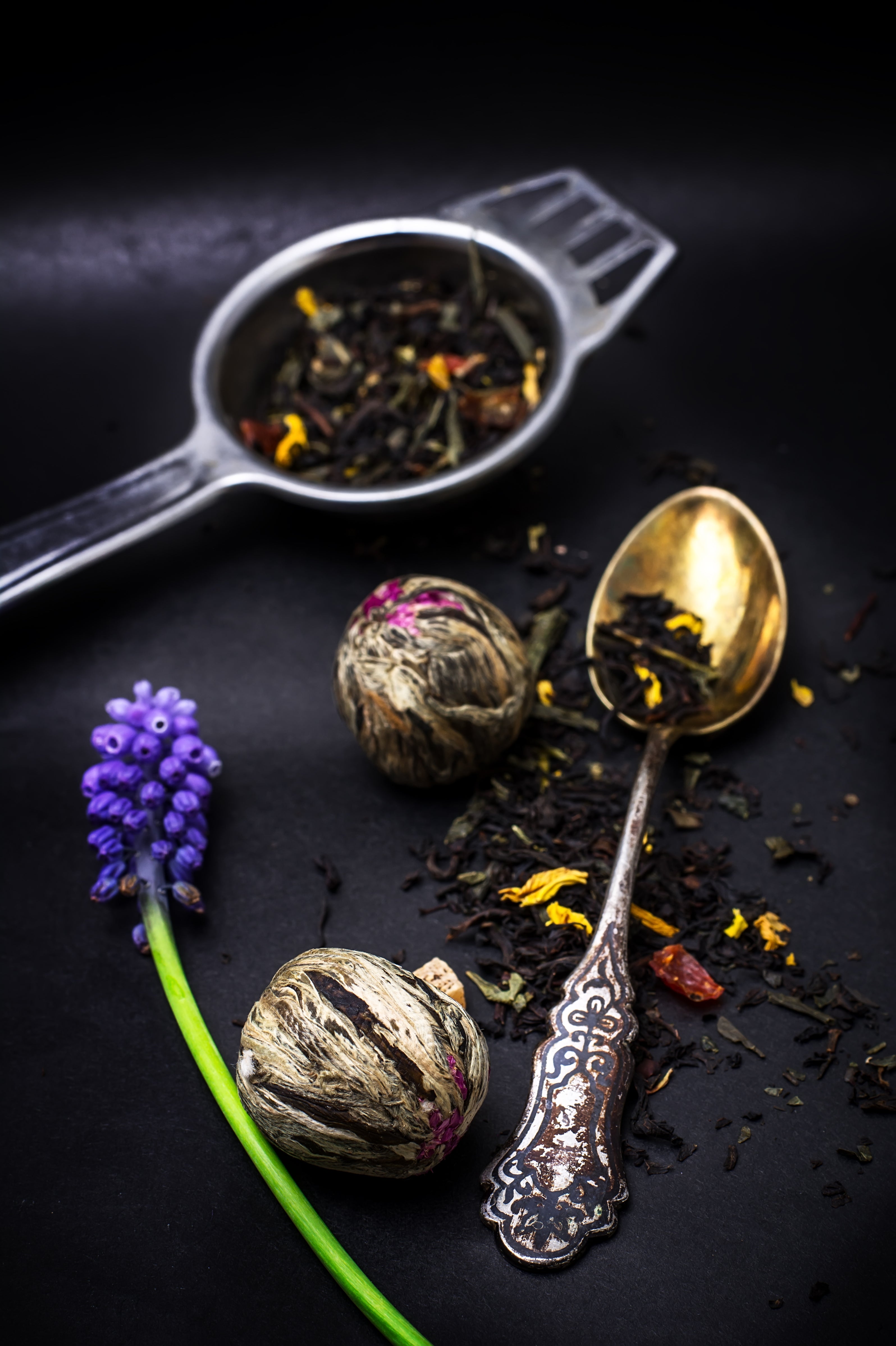 Botanicals — The Living Language of Silk Road