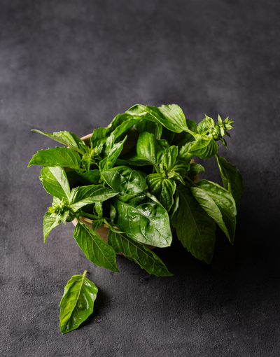 Bosiljak (Ocimum basilicum) – Svježi, organski